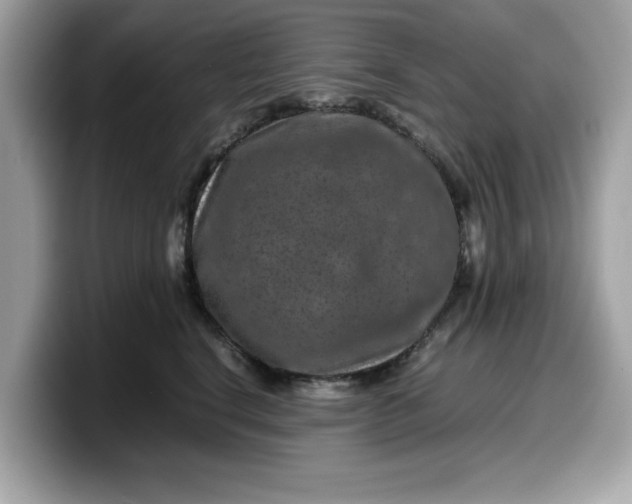 X0000099570664200805301541