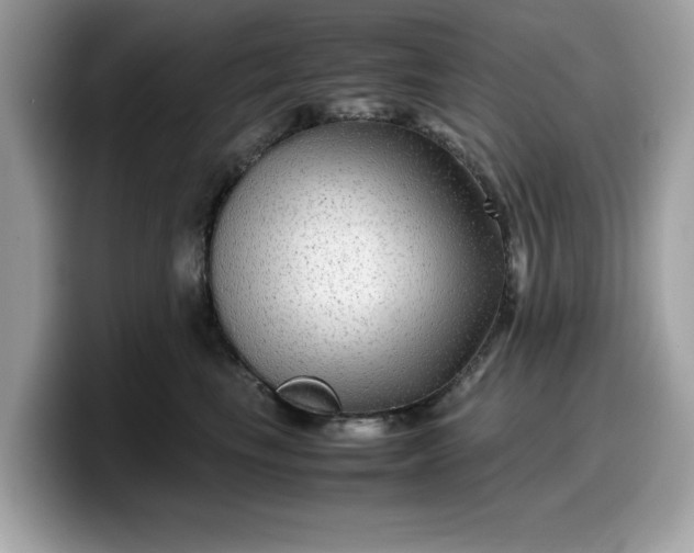 X0000099570665200805301541
