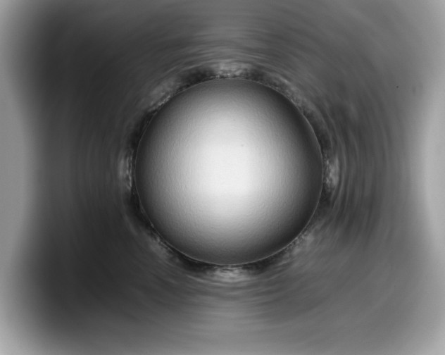 X0000099570666200805301541