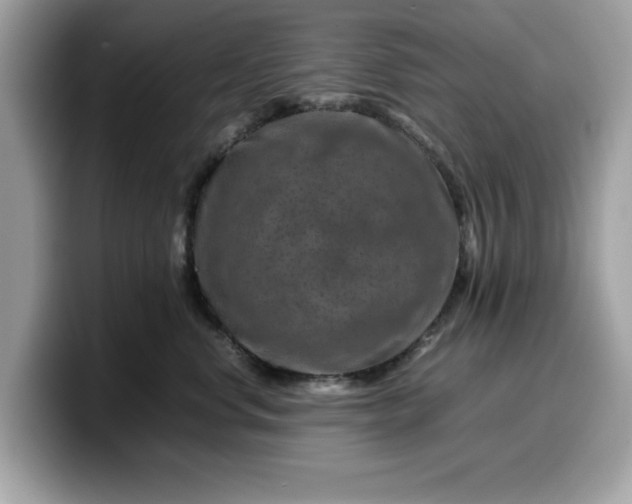 X0000099570668200805301541