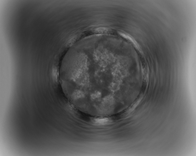 X0000099570669200805301541