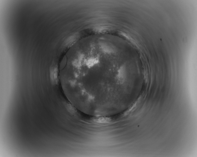 X0000099570670200805301541