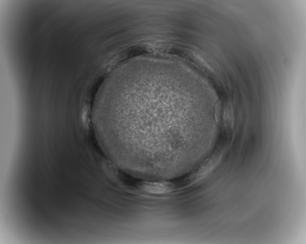 X0000099570671200805301542