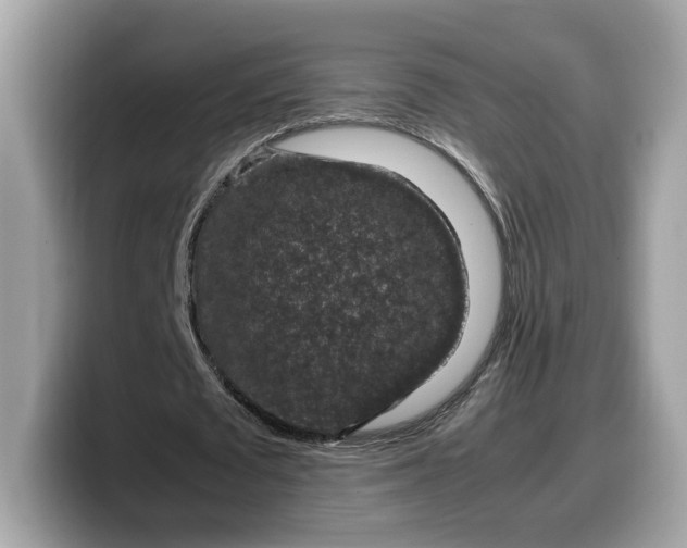X0000099570673200805301541