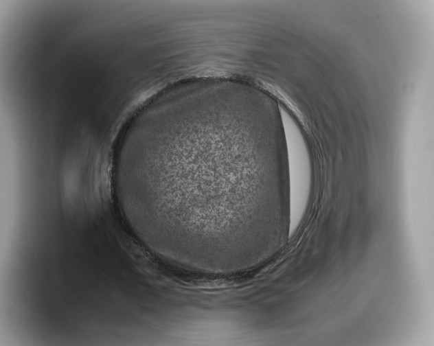 X0000099570675200805301541