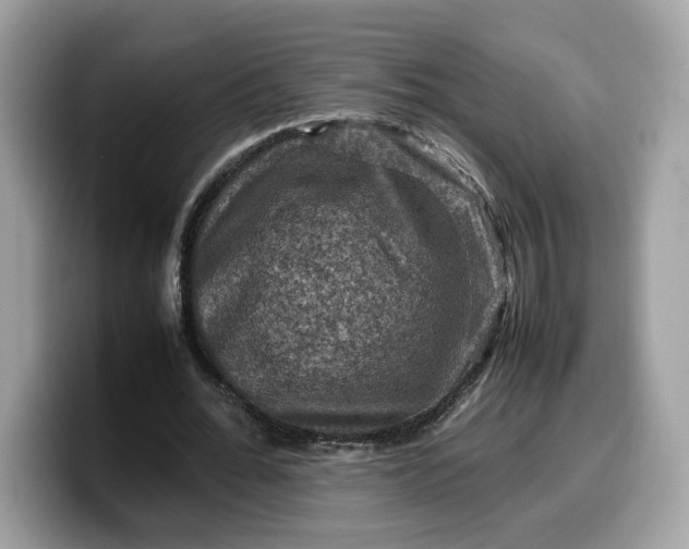 X0000099570676200805301541