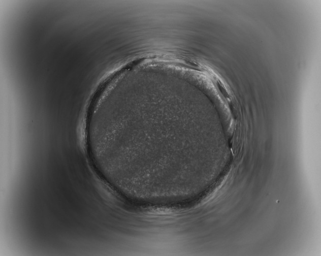X0000099570677200805301541