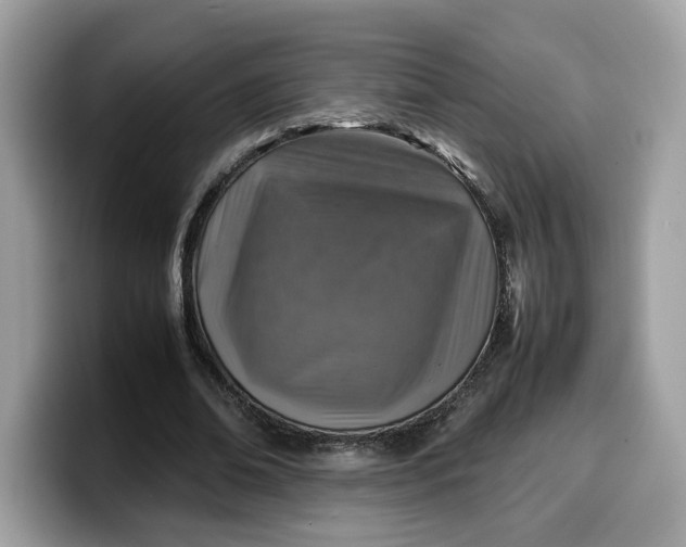 X0000099570678200805301541
