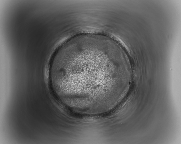 X0000099570679200805301541