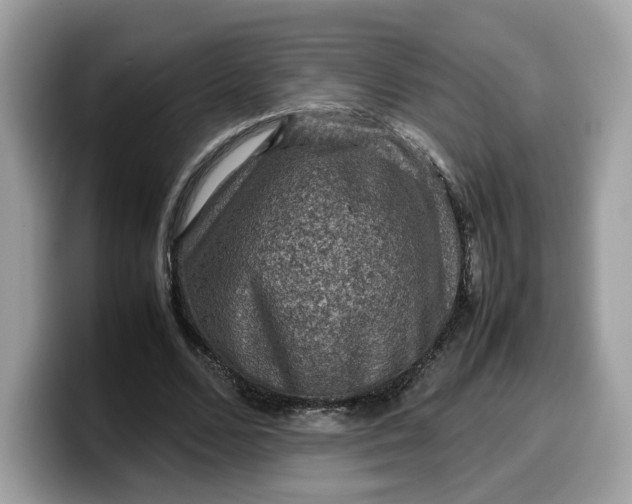 X0000099570680200805301541