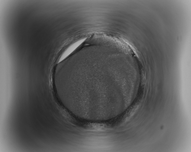 X0000099570681200805301541