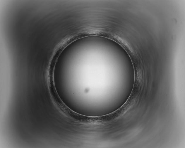 X0000099570682200805301541