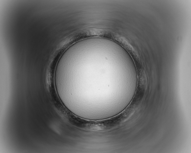 X0000099570683200805301541