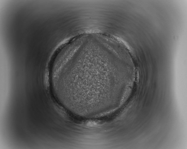 X0000099570684200805301541