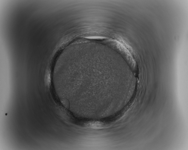 X0000099570685200805301541