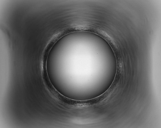 X0000099570686200805301541