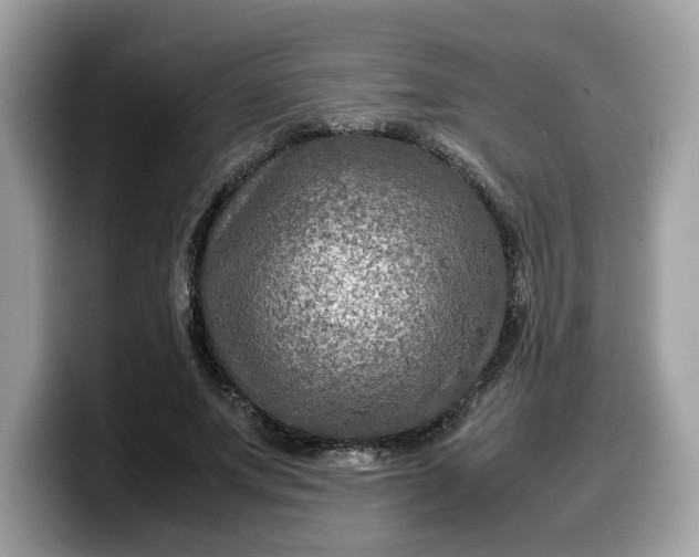 X0000099570687200805301541