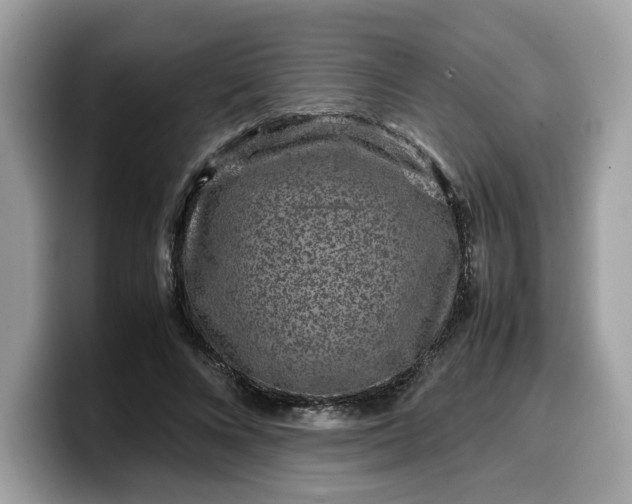 X0000099570688200805301541