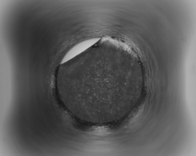 X0000099570689200805301541