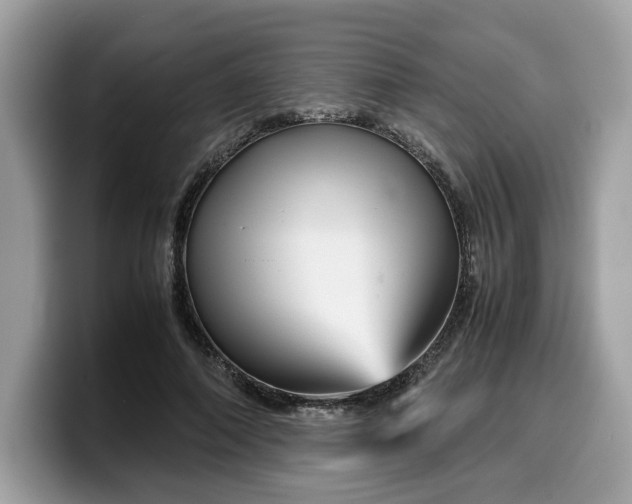 X0000099570690200805301541