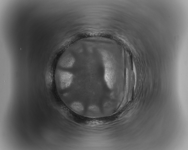 X0000099570691200805301541