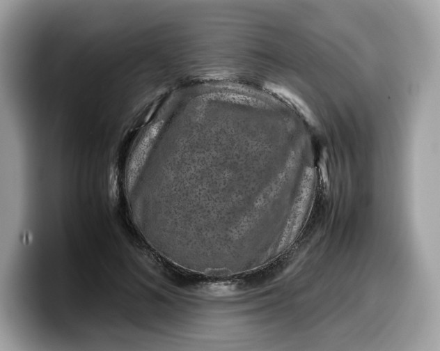 X0000099570692200805301541