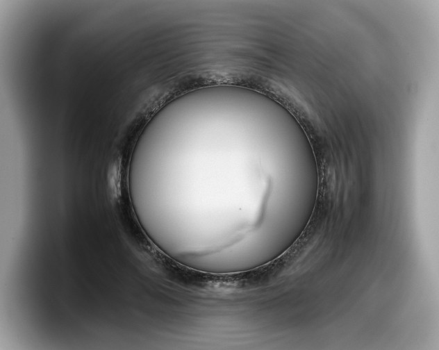 X0000099570694200805301541