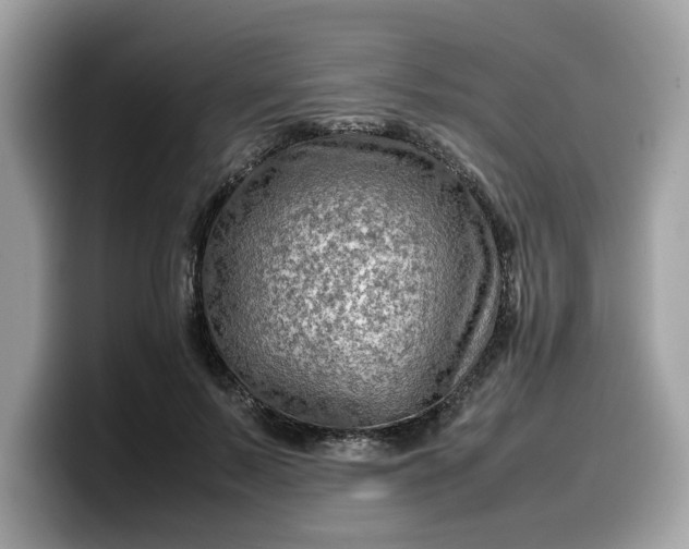 X0000099570695200805301541