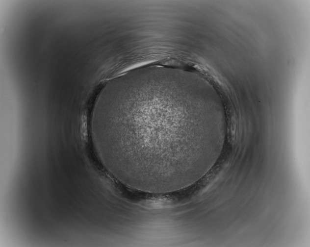X0000099570696200805301541