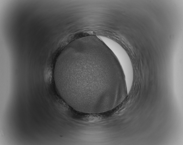 X0000099570697200805301541