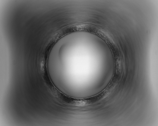 X0000099570698200805301541