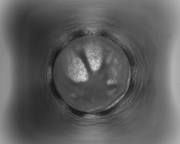 X0000099570699200805301541