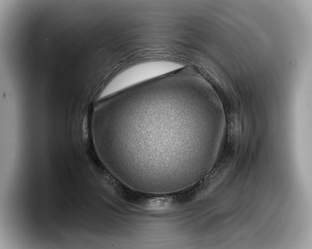 X0000099570700200805301541