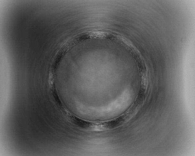 X0000099570701200805301541