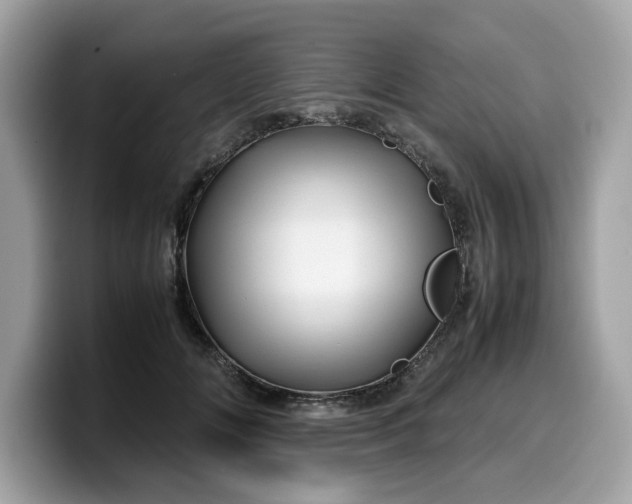 X0000099570702200805301541
