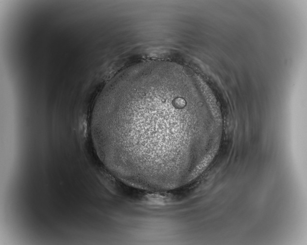 X0000099570703200805301541