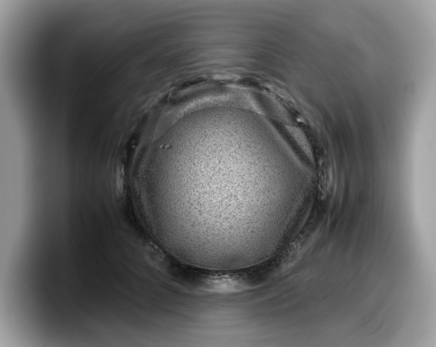 X0000099570704200805301541