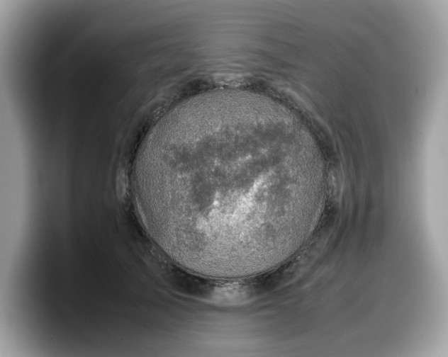 X0000099570705200805301541