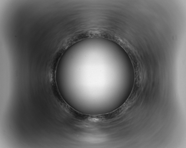 X0000099570706200805301541