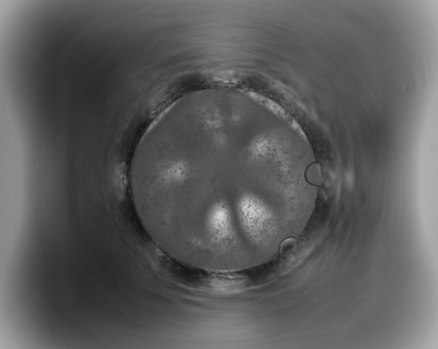 X0000099570707200805301541
