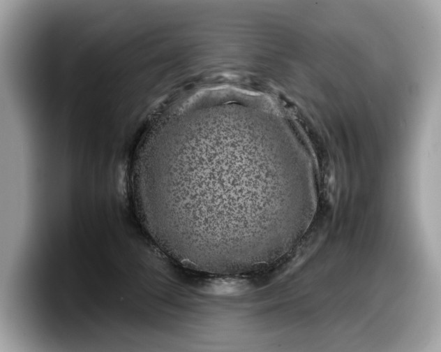 X0000099570708200805301541