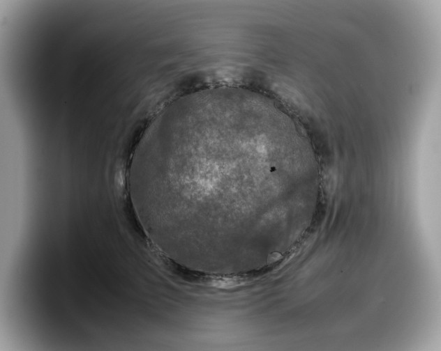 X0000099570709200805301541