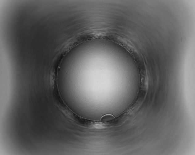 X0000099570710200805301541