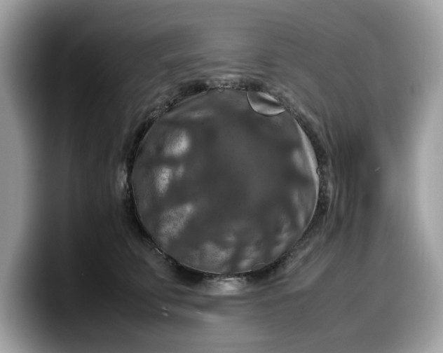 X0000099570711200805301540