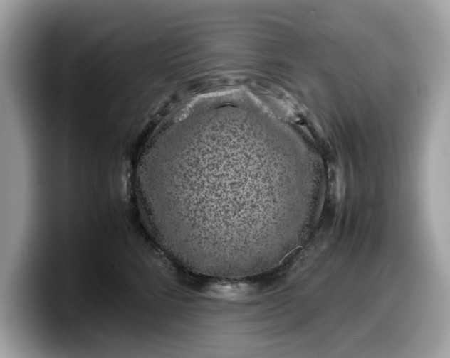 X0000099570712200805301540