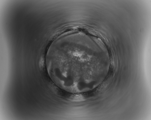 X0000099570715200805301540