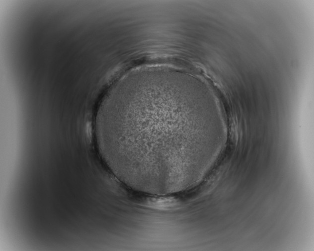 X0000099570716200805301540