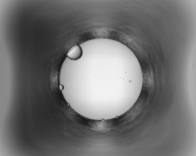 X0000099570717200805301540