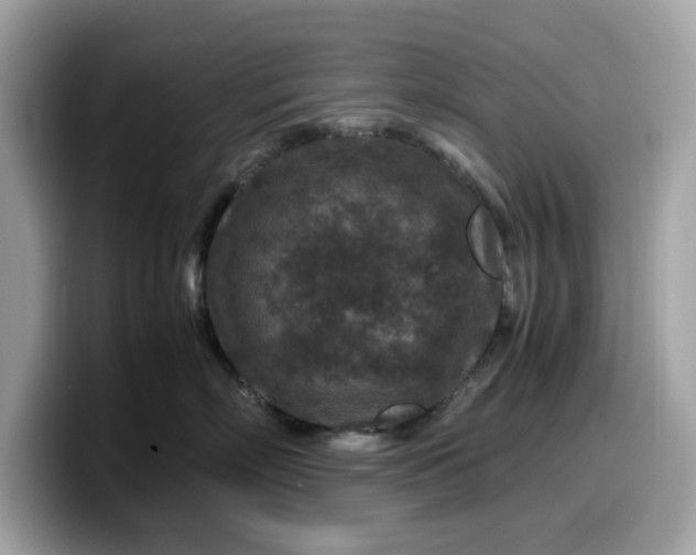 X0000099570718200805301540