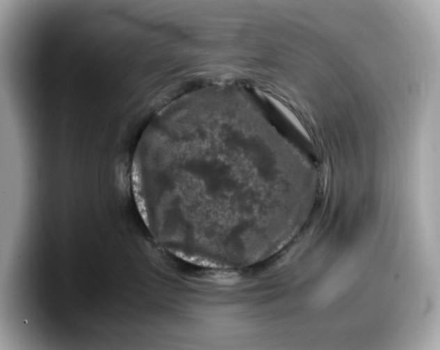 X0000099570719200805301540